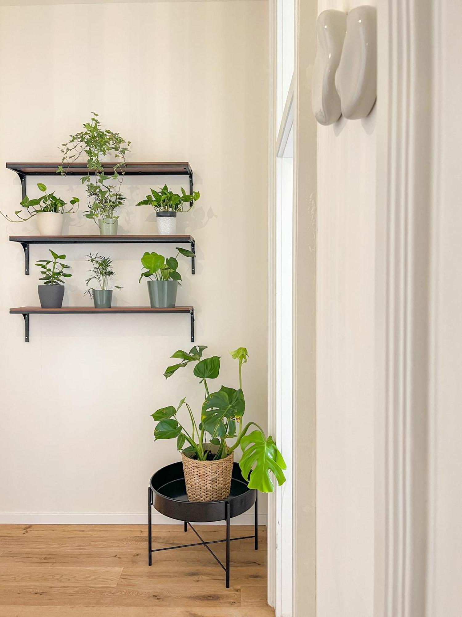 פראג Powder Tower Residence מראה חיצוני תמונה